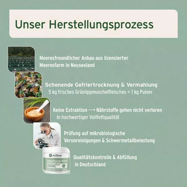 Grünlippmuschelpulver Grünlippmuschelpulver